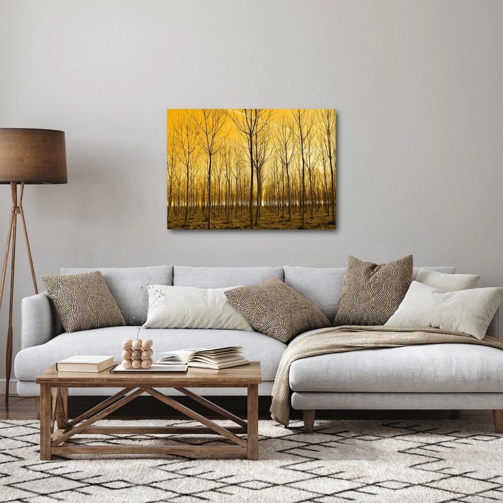 Obraz - Plantáž stromov (70x50 cm)