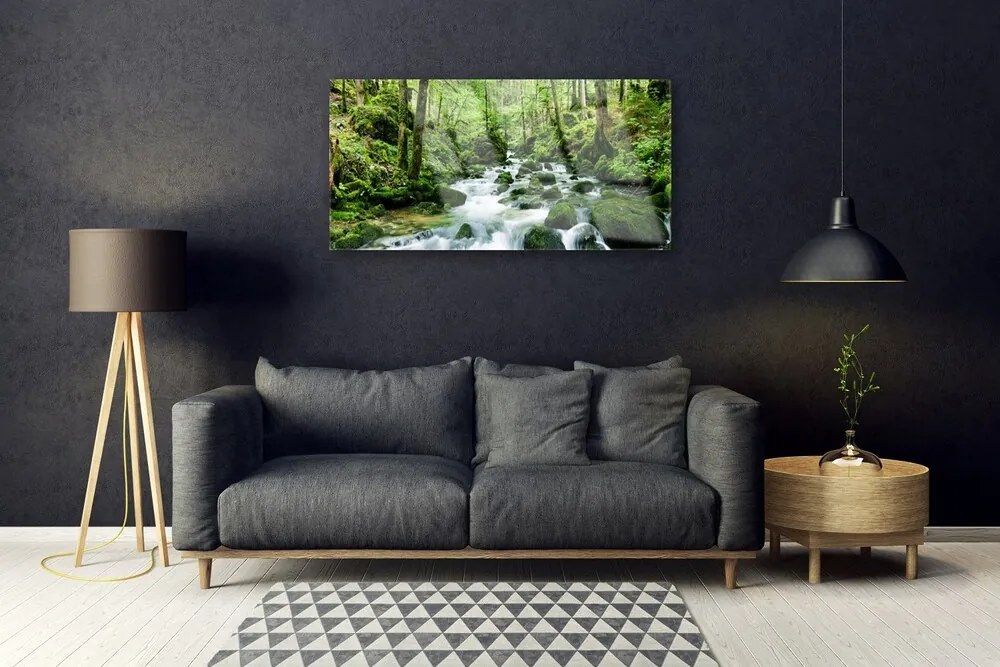 Skleneny obraz Les potok vodopády rieka 120x60 cm