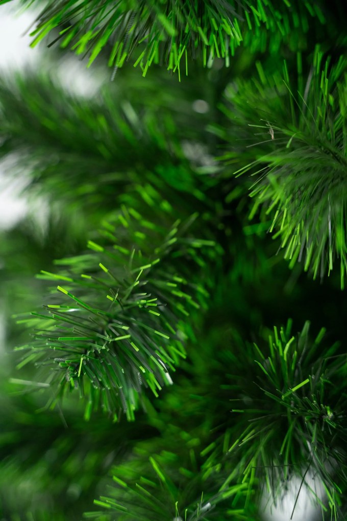 Limpol Smrek Tomek 1,80 m