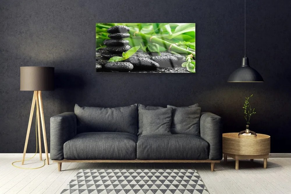 Obraz na skle Bambus kamene rastlina 120x60 cm