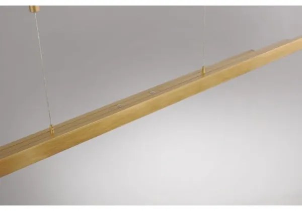 Paul Neuhaus 2568-60 - LED Stmievateľný luster na lanku ADRIANA LED/14W/230V mosadz