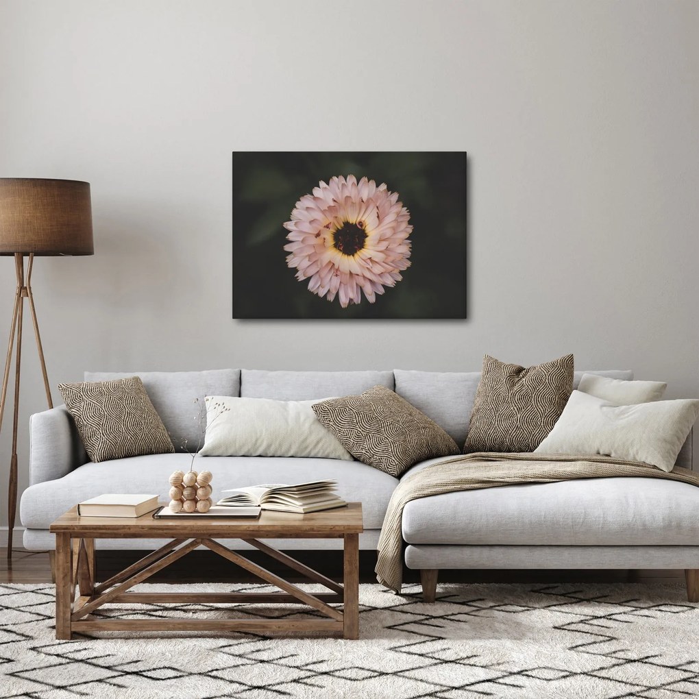 Obraz oranžovej kvetiny (70x50 cm)
