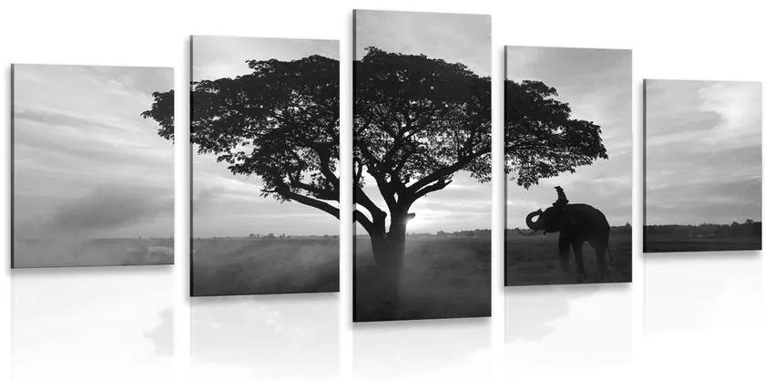 5-dielny obraz slon pri východe slnka v čiernobielom prevedení Varianta: 100x50
