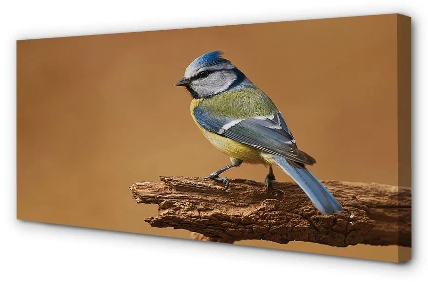 Obraz na plátne Vták 120x60 cm