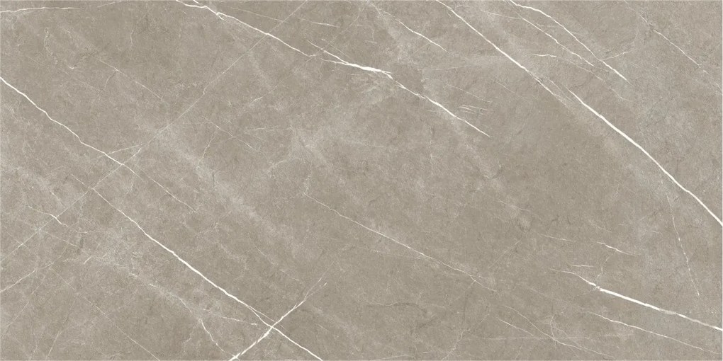 Dlažba Eternal Taupe Natural 60x120 R