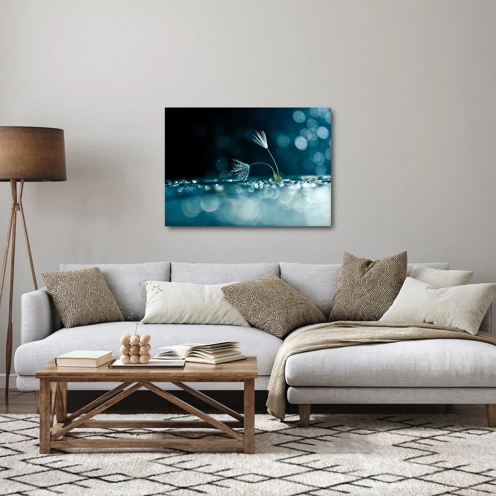 Obraz - Makro (70x50 cm)