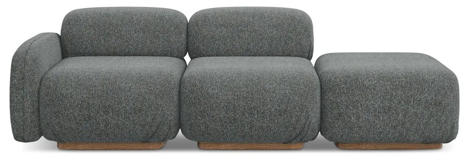 Sivá leňoška (ľavý roh) Ailani – Makamii