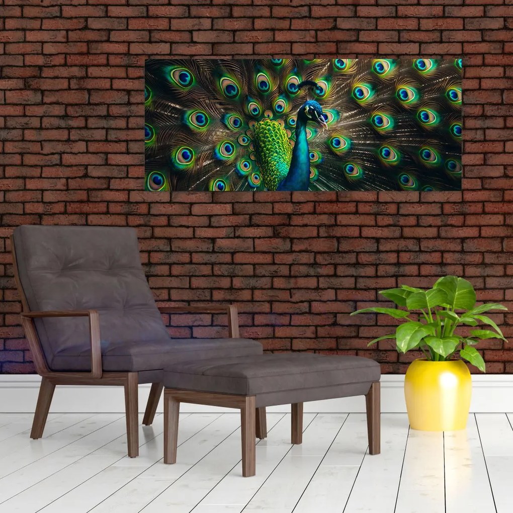 Obraz – Páv (120x50 cm)