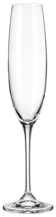BOHEMIA FULICA POHÁR NA ŠAMPANSKÉ 250ML SADA 6KS