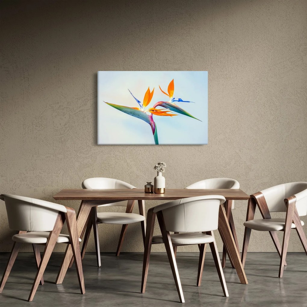 Obraz kvetu Strelícia (90x60 cm)