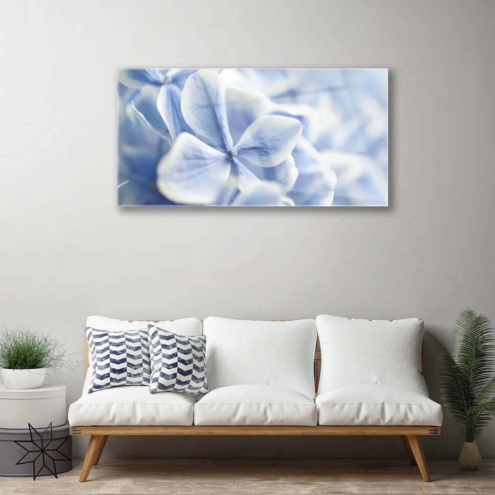 Skleneny obraz Kvety plátky príroda 140x70 cm