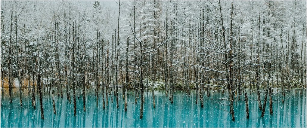 Obraz - Tyrkysový rybník, Biei, Japonsko (120x50 cm)