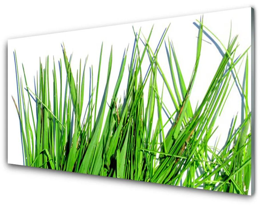 Obraz na akrylátovom skle Tráva 120x60 cm