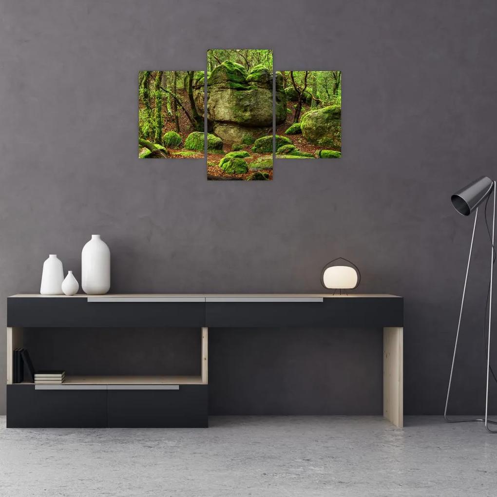 Obraz čarovného lesa (90x60 cm)