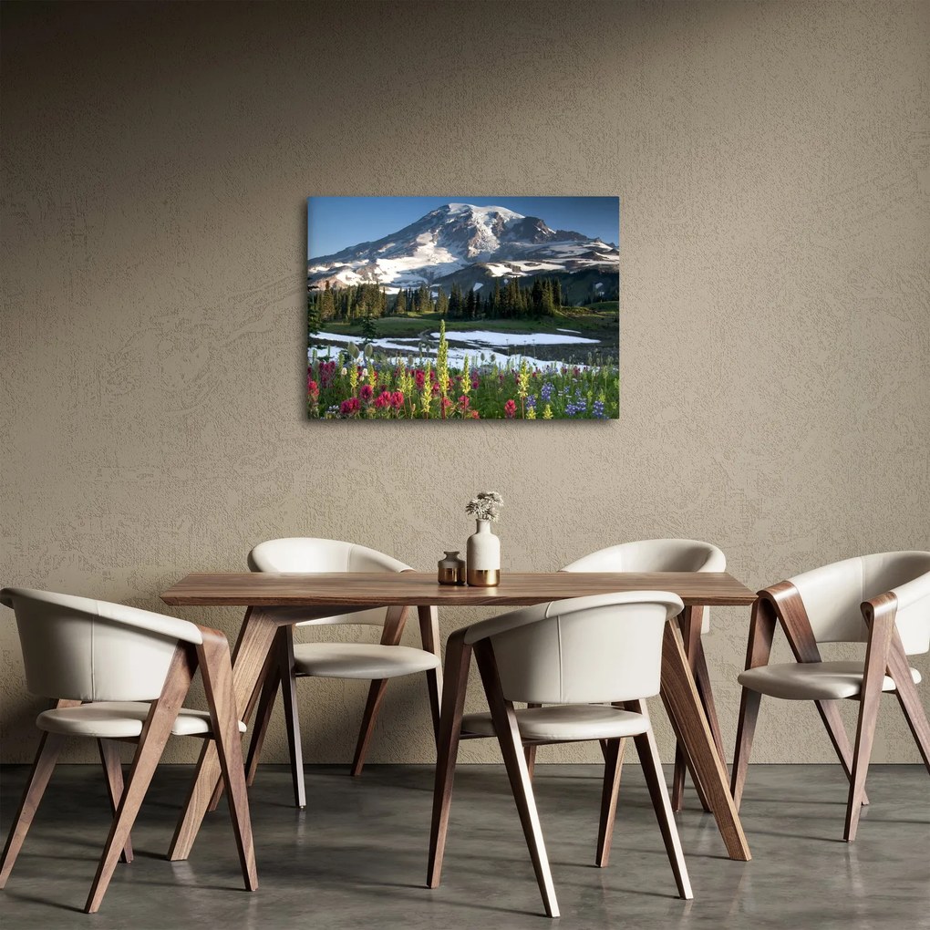 Obraz - Mount Rainier (70x50 cm)