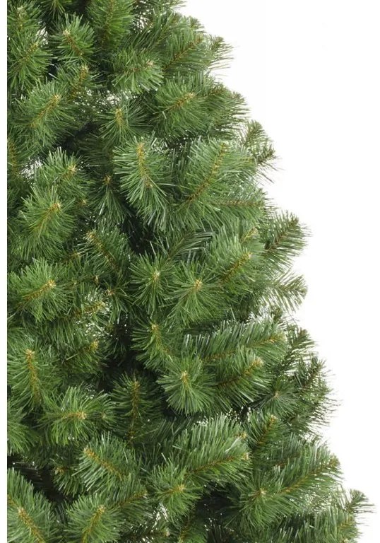 DECOREUM Vianočný stromček  Sibírska borovica Veľkosť: 180 cm 127410