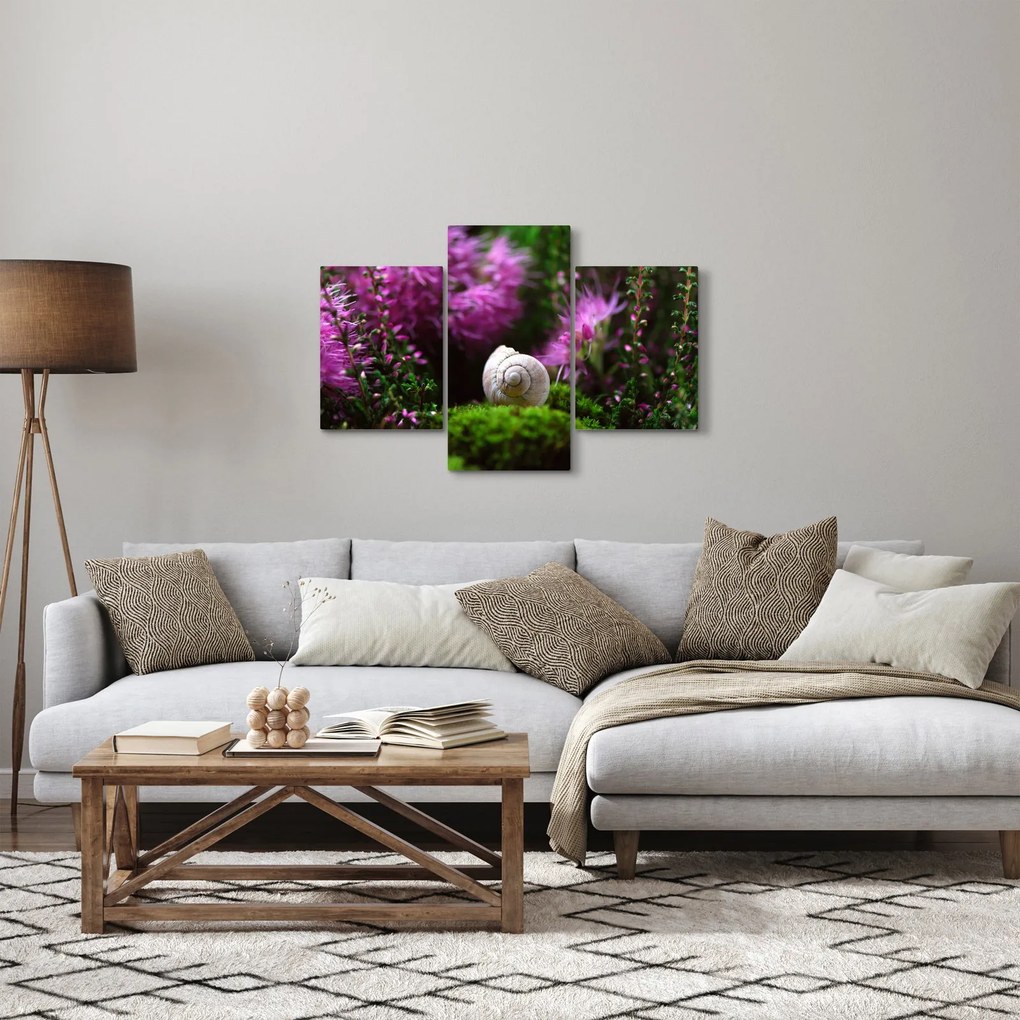 Obraz - Slimáková ulita (90x60 cm)