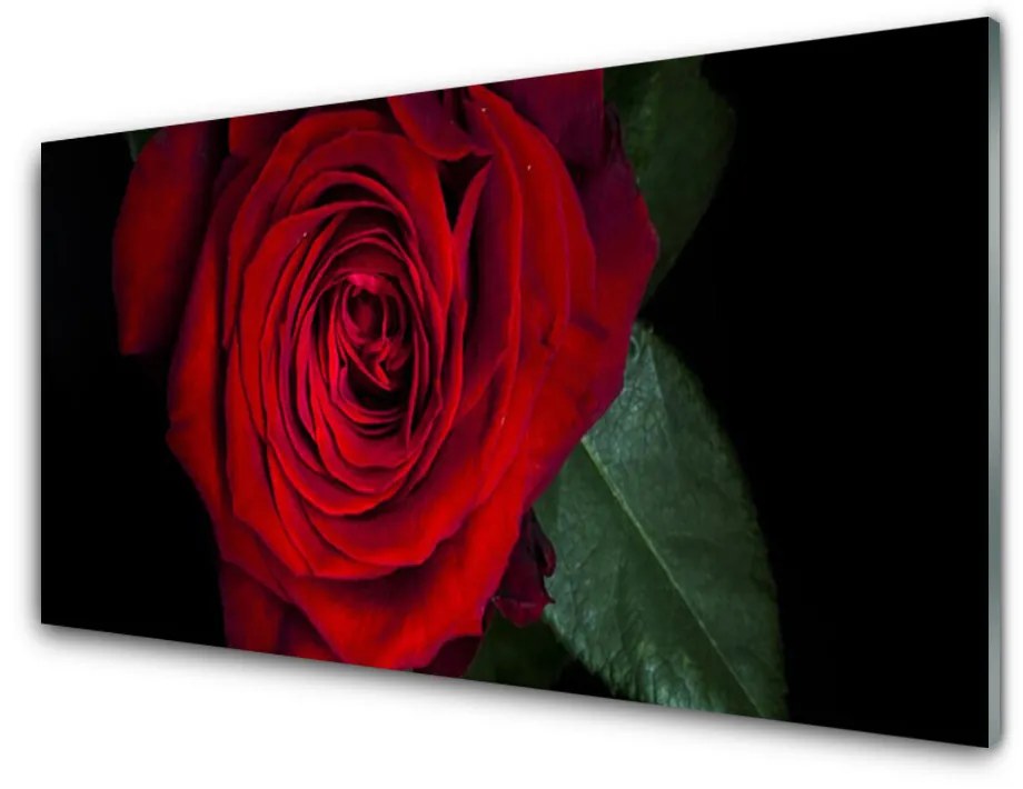 Obraz na akrylátovom skle Ruže 140x70 cm