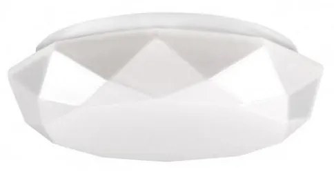 LED Stropné svietidlo SELINA LED/12W/230V