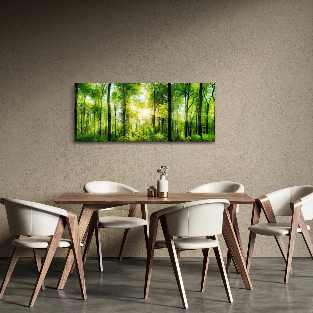 Obraz - Svitanie v lese (120x50 cm)