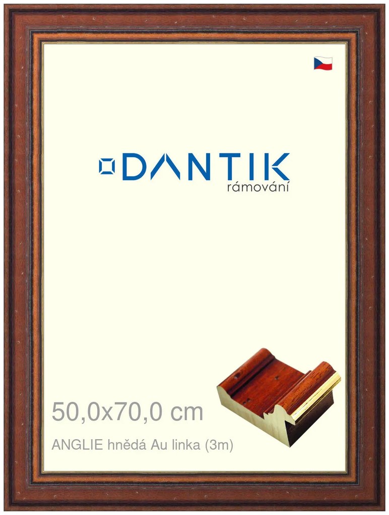 DANTIK rám na obraz 50x70 | ANGLIE hnědá Au linka (Plexi Čiré)