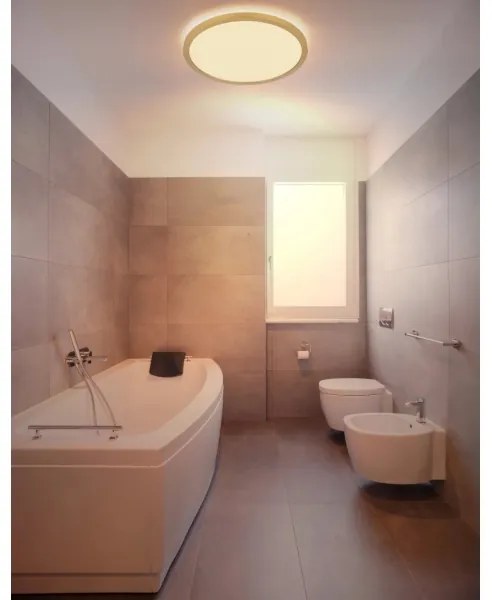 Globo 41562-24MM -LED Stm. kúpeľ. strop. svietidlo SAPANA LED/24W/230V IP44