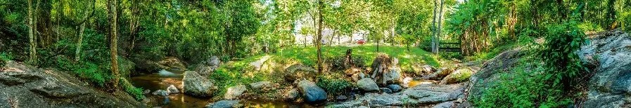 Samolepiace tapety za kuchynskú linku, rozmer 350 cm x 60 cm, botanická záhrada, DIMEX KI-350-134