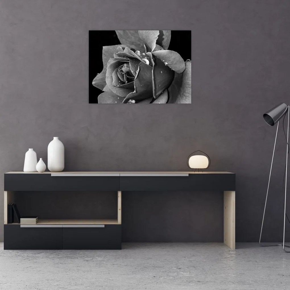 Sklenený obraz ruža - čiernobiela (70x50 cm)
