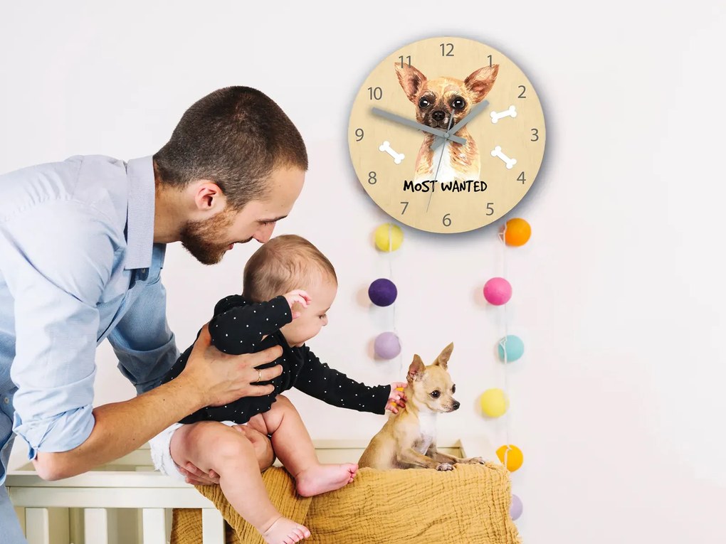 Detské nástenné hodiny Ami Čivava 30 cm viacfarebné