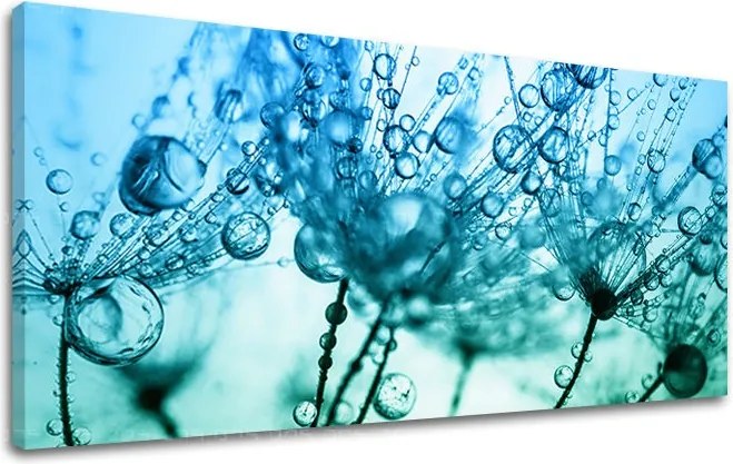 Obraz na stenu PANORÁMA KVETY KV060E13 - 70x140 cm