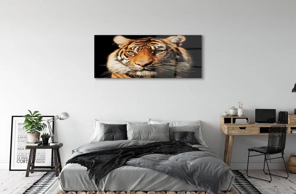 Obraz na akrylátovom skle Tiger 120x60 cm