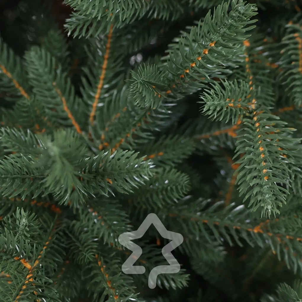 Smrek Kanadský 100% 150 cm