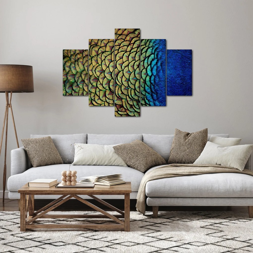 Obraz - Pávie perie (150x105 cm)