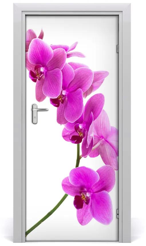Fototapeta samolepiace ružová orchidea 75x205 cm