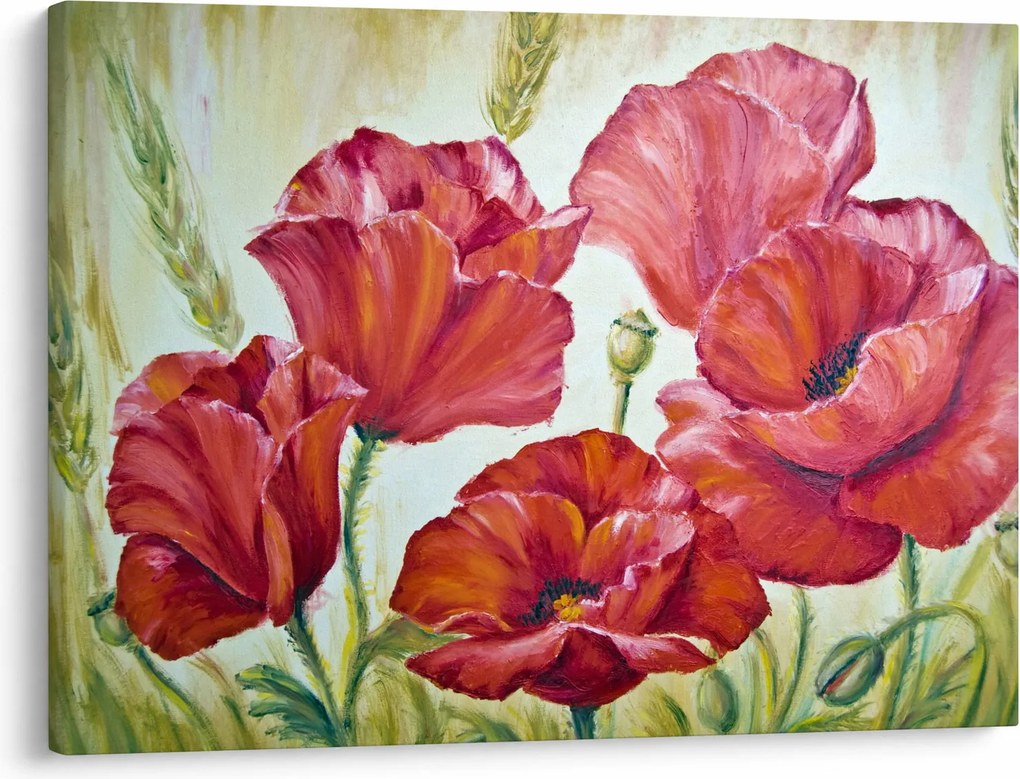 Obraz - Kvety vlčích makov (70x50 cm)