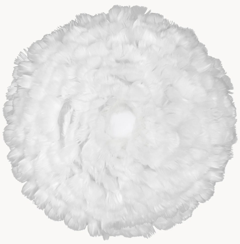 Nástenné/stropné svietidlo Eos Up