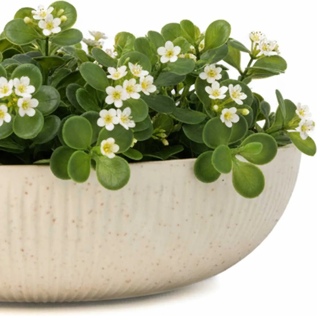 Okrasná miska PLANA, sklolaminát, priemer 34 cm, čierna