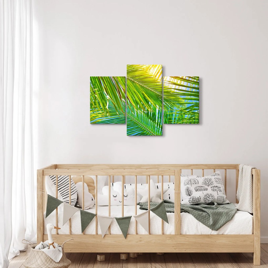 Obraz - Palmové listy (90x60 cm)