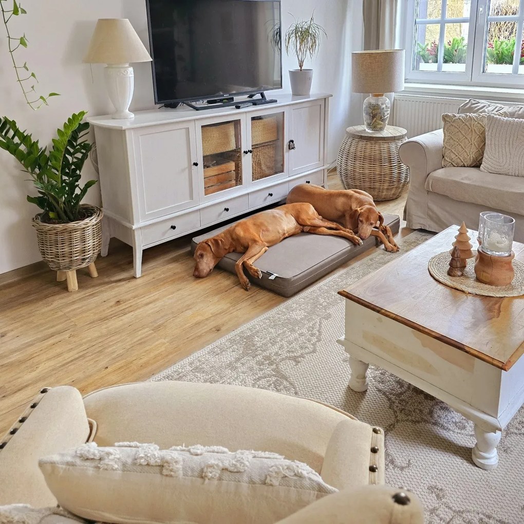 Hanse Home, Kusový koberec Beach 103854 Cream / Beige – na von aj na doma, 200x290, biela, chodba / predsieň