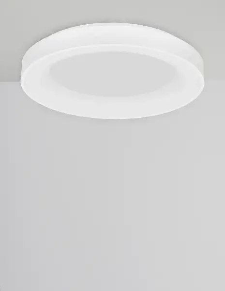 Stropné svietidlo LED so stmievaním Rando Smart 60 biele