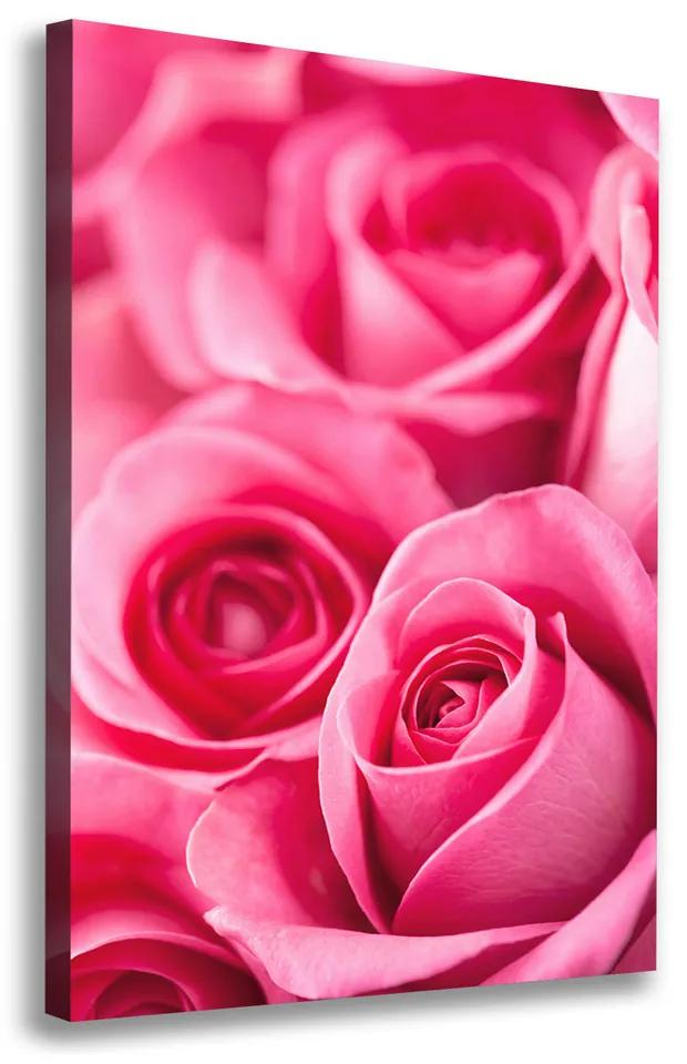 Foto obraz na plátne do obývačky Ružové ruže pl-oc-70x100-f-62775454