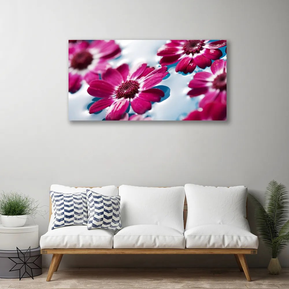 Obraz Canvas Kvety na vode príroda 120x60 cm