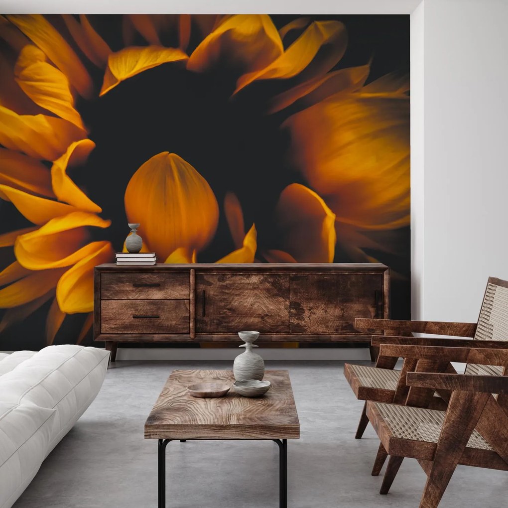 Fototapeta - Slnečnica v tme (147x102 cm)