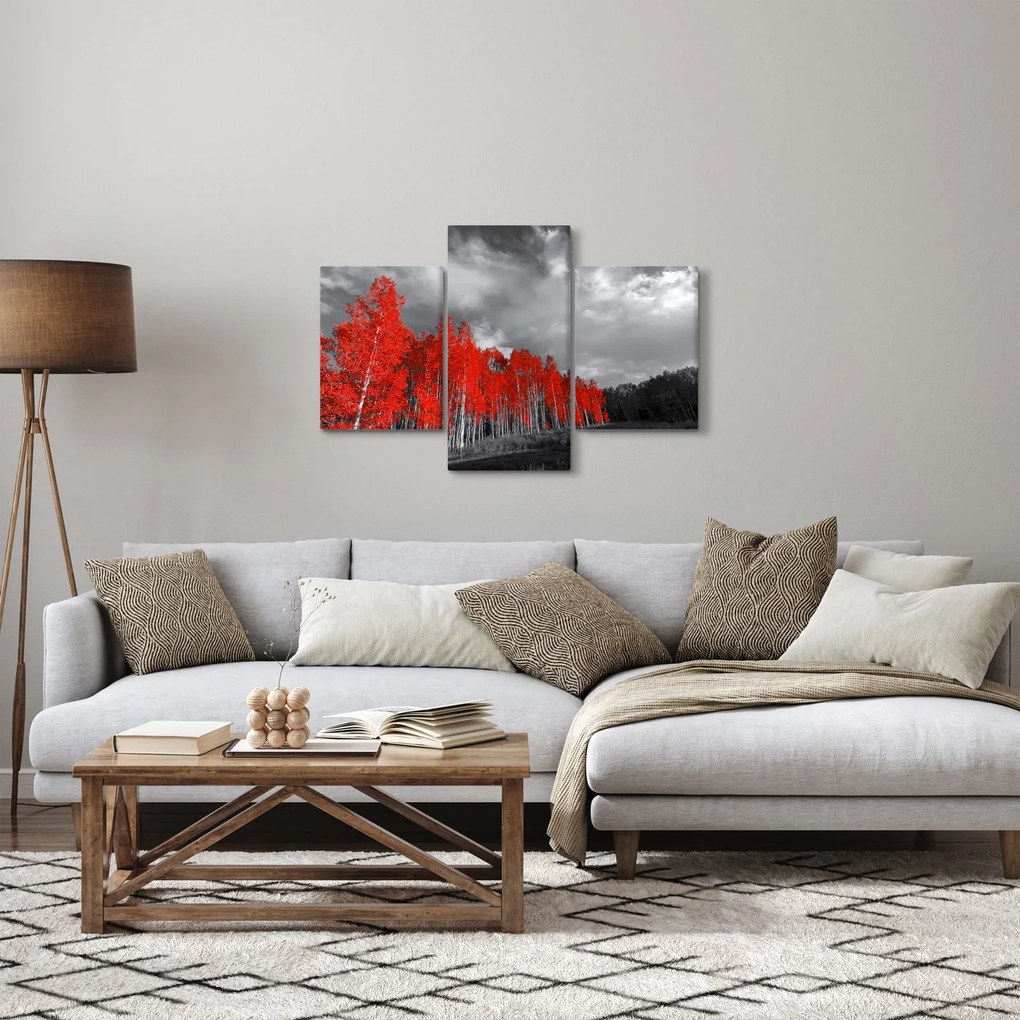 Obraz - Stromy vo farbe jesene (90x60 cm)