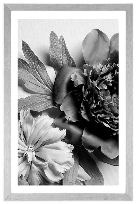 Plagát s paspartou pivonky v čiernobielom prevedení - 60x90 silver