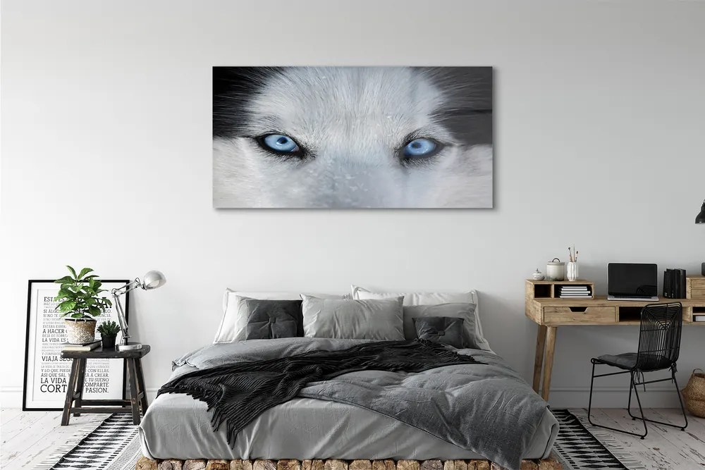 Obraz na akrylátovom skle Wolf eyes 140x70 cm
