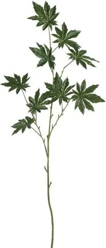 Okrasný list Papaya - 122cm