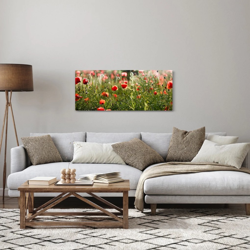 Obraz vlčích makov (120x50 cm)