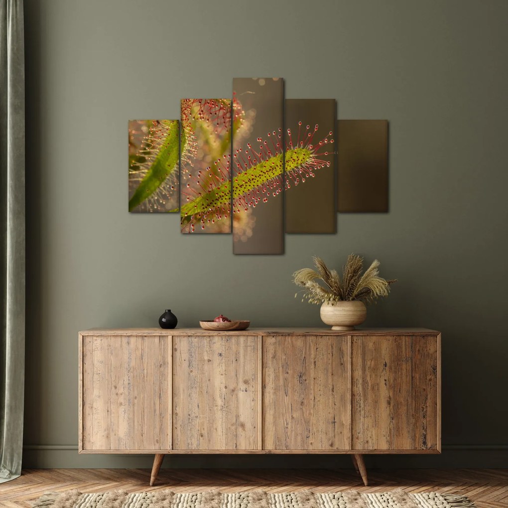 Obraz rastliny (150x105 cm)