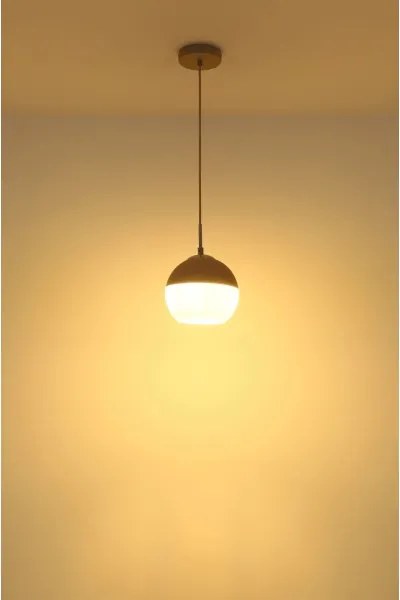 Globo 15999H - Závesné svietidlo na lanku RAGUSA 1xE27/60W/230V pr. 20 cm